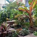 Oasis Inn